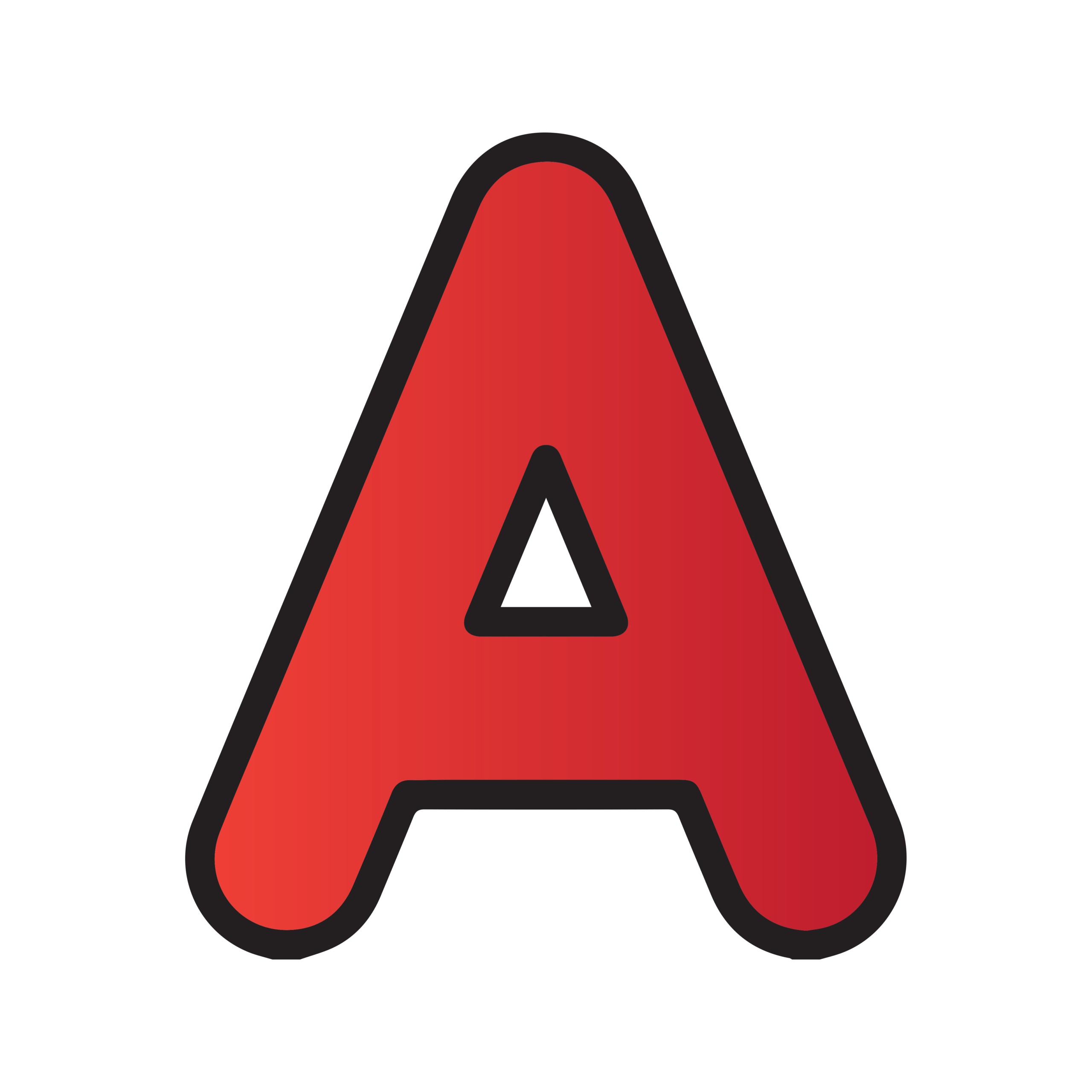 041920251656326803d5c095238